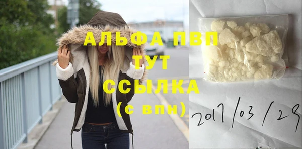 мяу мяу мука Алзамай