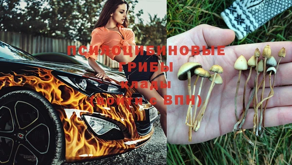 метадон Арсеньев